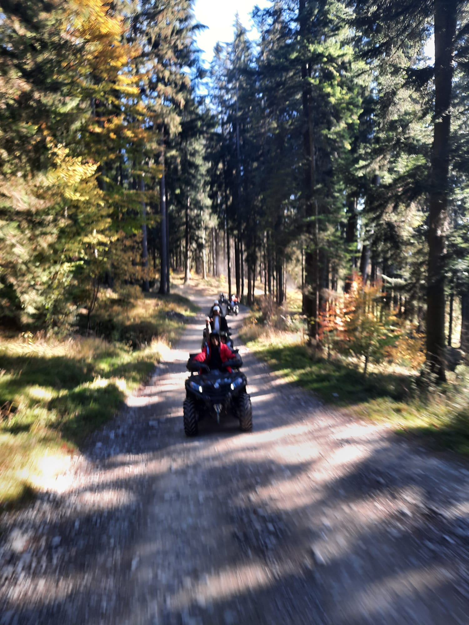 Traseu 1 drum forestier arv busteni Traseu 1 drum forestier arv busteni